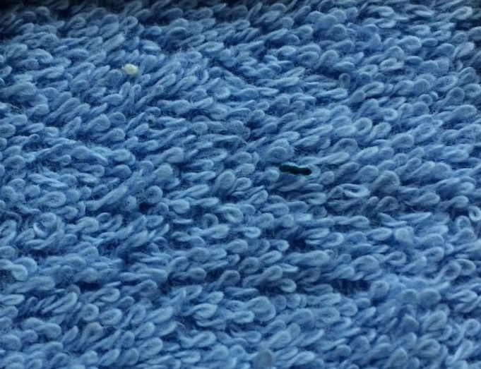 Махровая ткань голубая